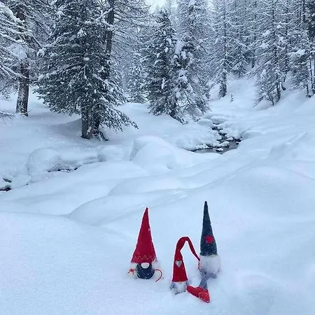 Gnomo Διαμέρισμα